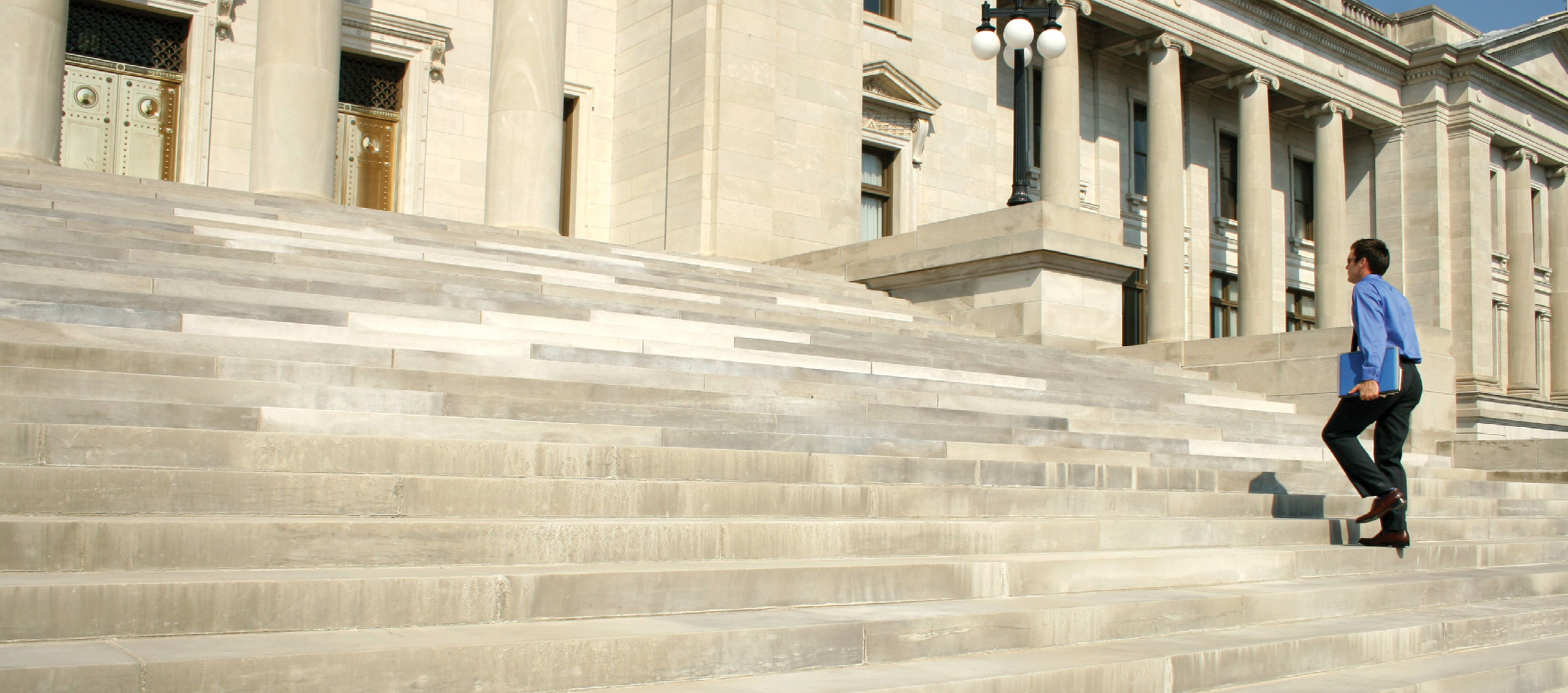 Government Public Sector